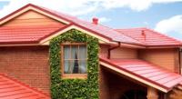 Enhanced Paint & Roof Restoration image 3